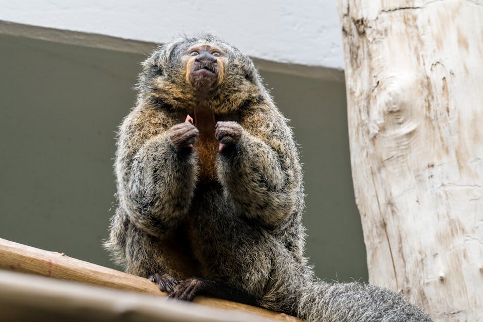 Professional agent meeting with a client